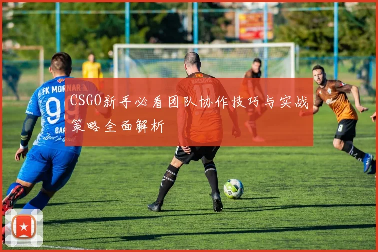CSGO新手必看团队协作技巧与实战策略全面解析