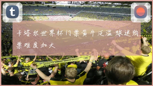卡塔尔世界杯门票黄牛泛滥 球迷购票难度加大