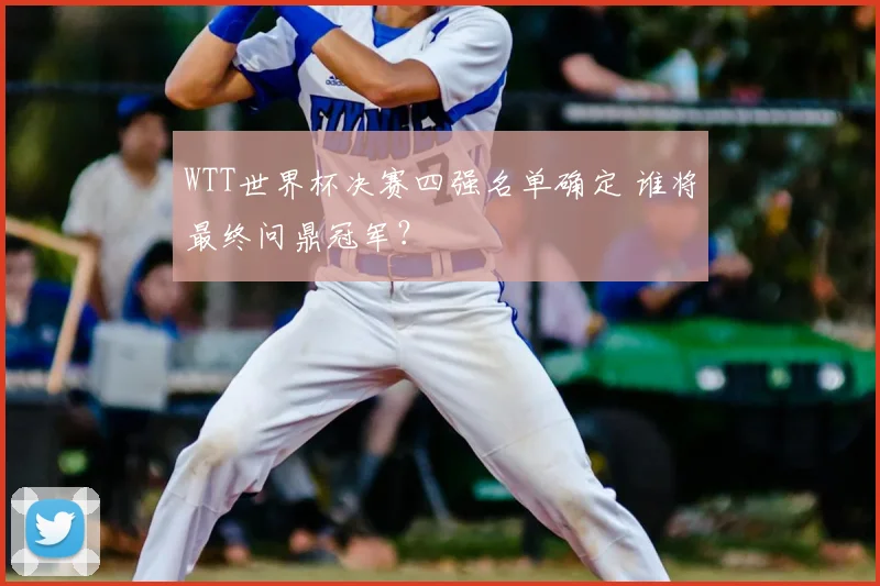 WTT世界杯决赛四强名单确定 谁将最终问鼎冠军？
