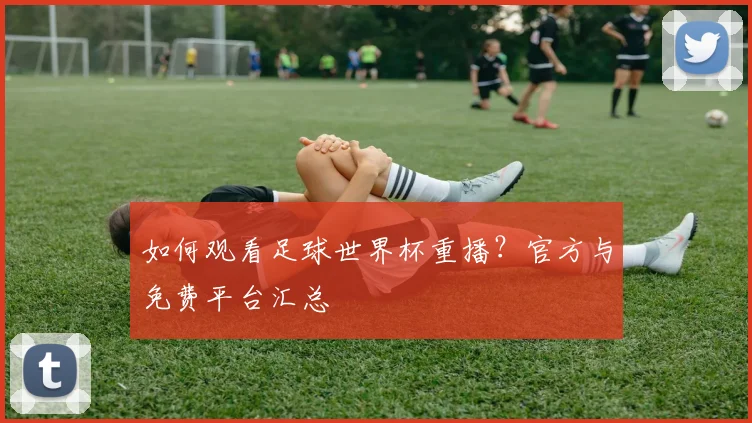 如何观看足球世界杯重播?官方与免费平台汇总