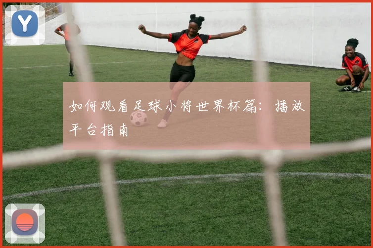 如何观看足球小将世界杯篇:播放平台指南