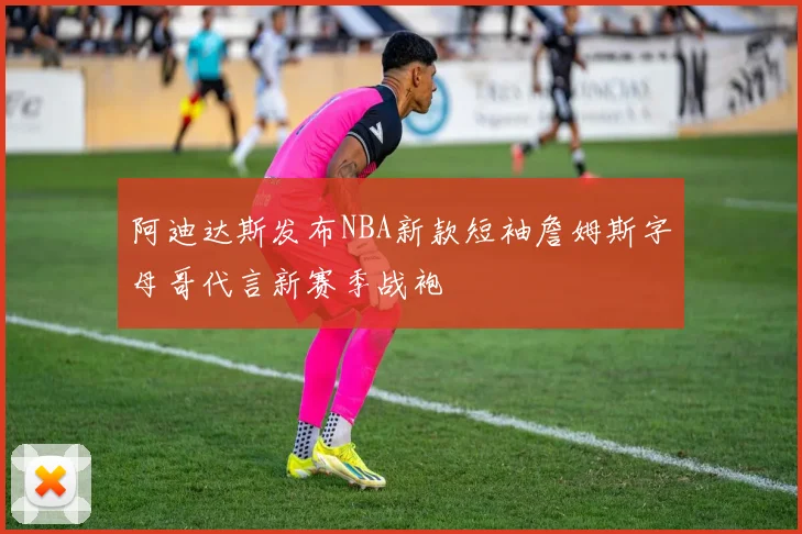 阿迪达斯发布NBA新款短袖詹姆斯字母哥代言新赛季战袍