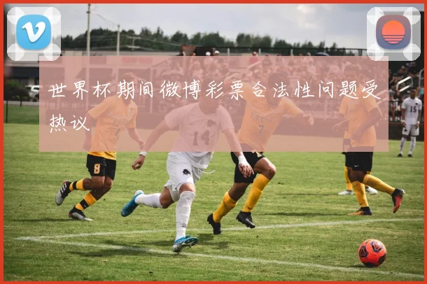 世界杯期间微博彩票合法性问题受热议