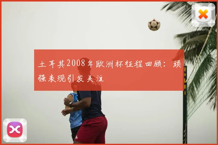 土耳其2008年欧洲杯征程回顾：顽强表现引发关注