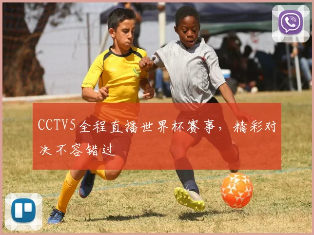 CCTV5全程直播世界杯赛事,精彩对决不容错过