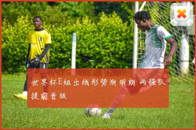世界杯E组出线形势渐明朗 两强队提前晋级