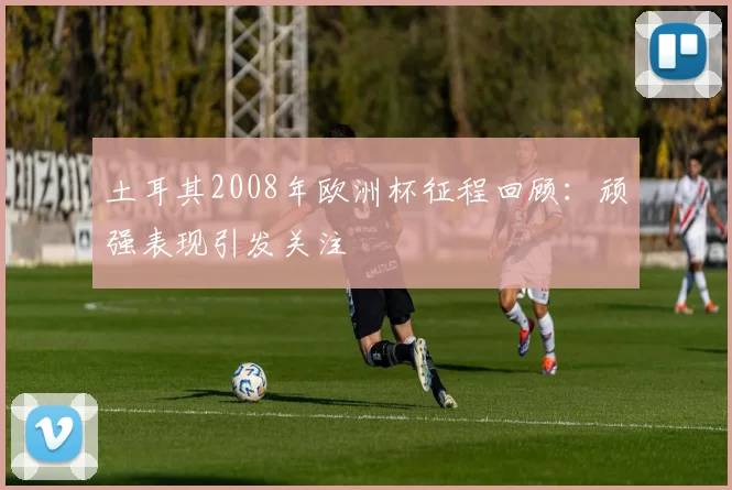 土耳其2008年欧洲杯征程回顾：顽强表现引发关注