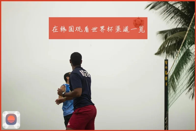 在韩国观看世界杯渠道一览