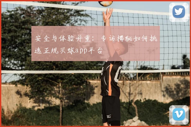 安全与体验并重：专访揭秘如何挑选正规买球app平台