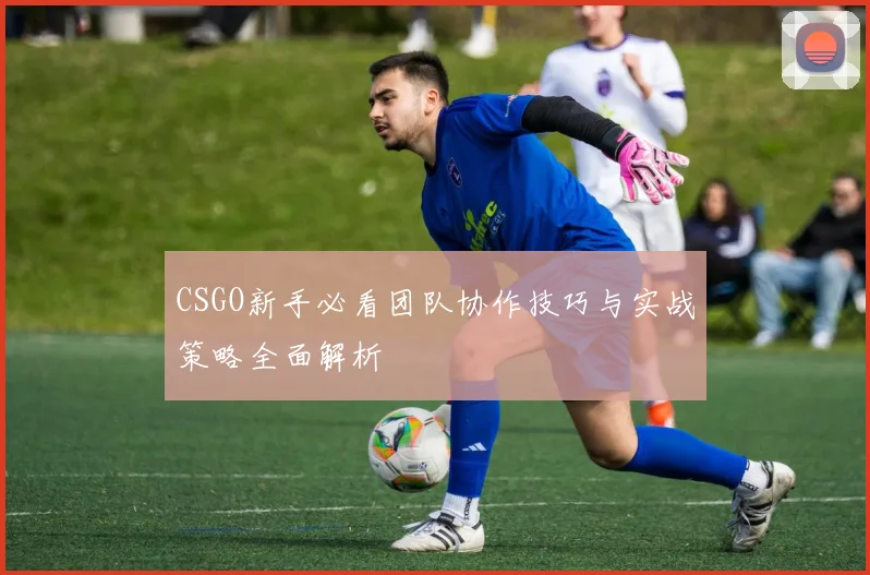 CSGO新手必看团队协作技巧与实战策略全面解析